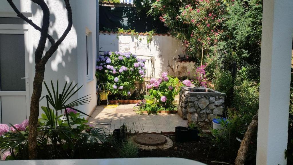 Villa Angelina Kumbor Eksteriør billede